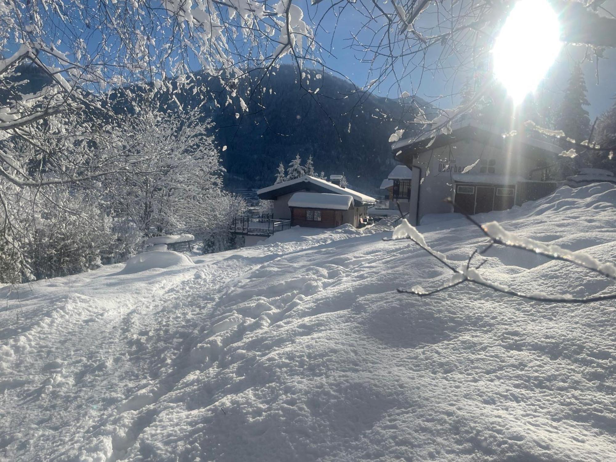 Ferienhaus Oberberg Flachau Exteriör bild